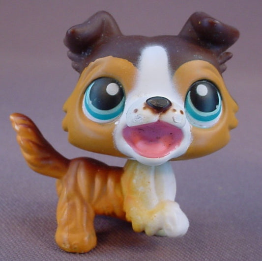 Littlest Pet Shop #237 Blemished Chocolate & Brown Collie Puppy Dog With Blue Eyes, Barking Open Mouth, Tricks N Talents Playset