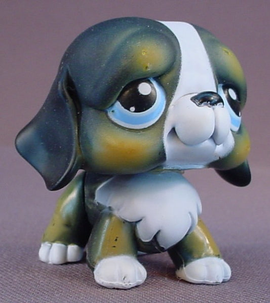 Littlest Pet Shop #145 Blemished Black White & Brown St Bernard Puppy Dog With Blue Eyes, Saint Bernard, Portable pets