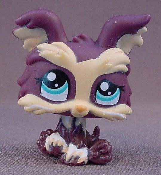 Lps yorkie best sale