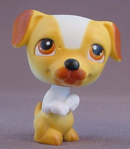 Littlest Pet Shop #40 Blemished Jack Russell Terrier Puppy Dog, Doggie Diner, LPS, 2004 Hasbro