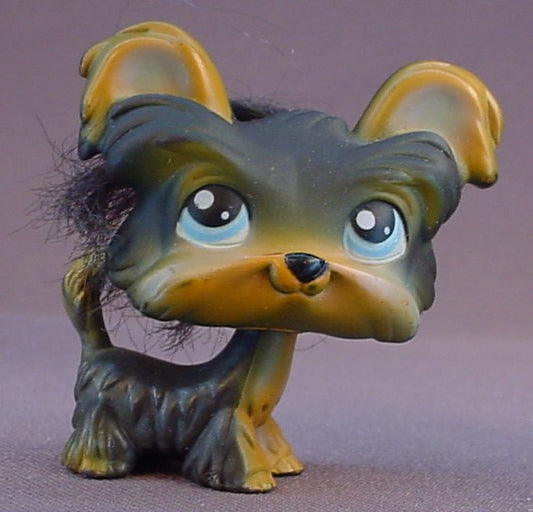 Littlest Pet Shop #141 Blemished Dark Brown Yorkie Yorkshire Terrier Puppy Dog With Tuft of Hair & Blue Eyes, Portable Pets