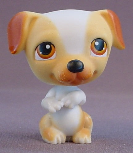 Littlest Pet Shop #40 Blemished Jack Russell Terrier Puppy Dog, Doggie Diner, LPS, 2004 Hasbro