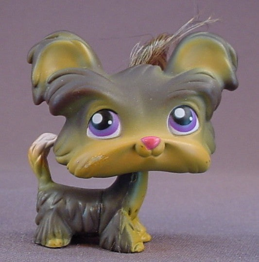 Littlest Pet Shop #398 Blemished Dark Brown & Tan Yorkie Puppy Dog With Purple Eyes, Tuft Of Hair, Yorkshire Terrier, LPS, 2007 Hasbro