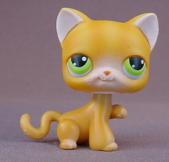 Littlest Pet Shop #11 Blemished Orange Shorthair Tabby Kitty Cat Kitten With Raised Paw & Green Eyes, Short Hair, Pet Pairs