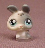 Littlest Pet Shop #2344 Blemished Gray Dalmatian Puppy Dog