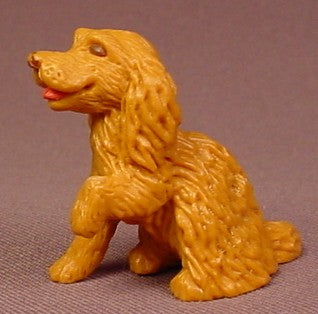 Puppy In My Pocket Setter Dog With A Hurt Paw