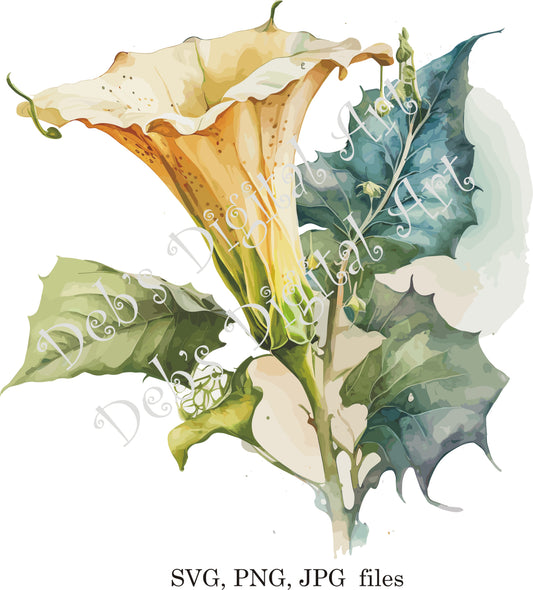 Watercolor botanical angels trumpet flower digital clipart, vector, png. jpg, jpeg, svg wall art, graphic