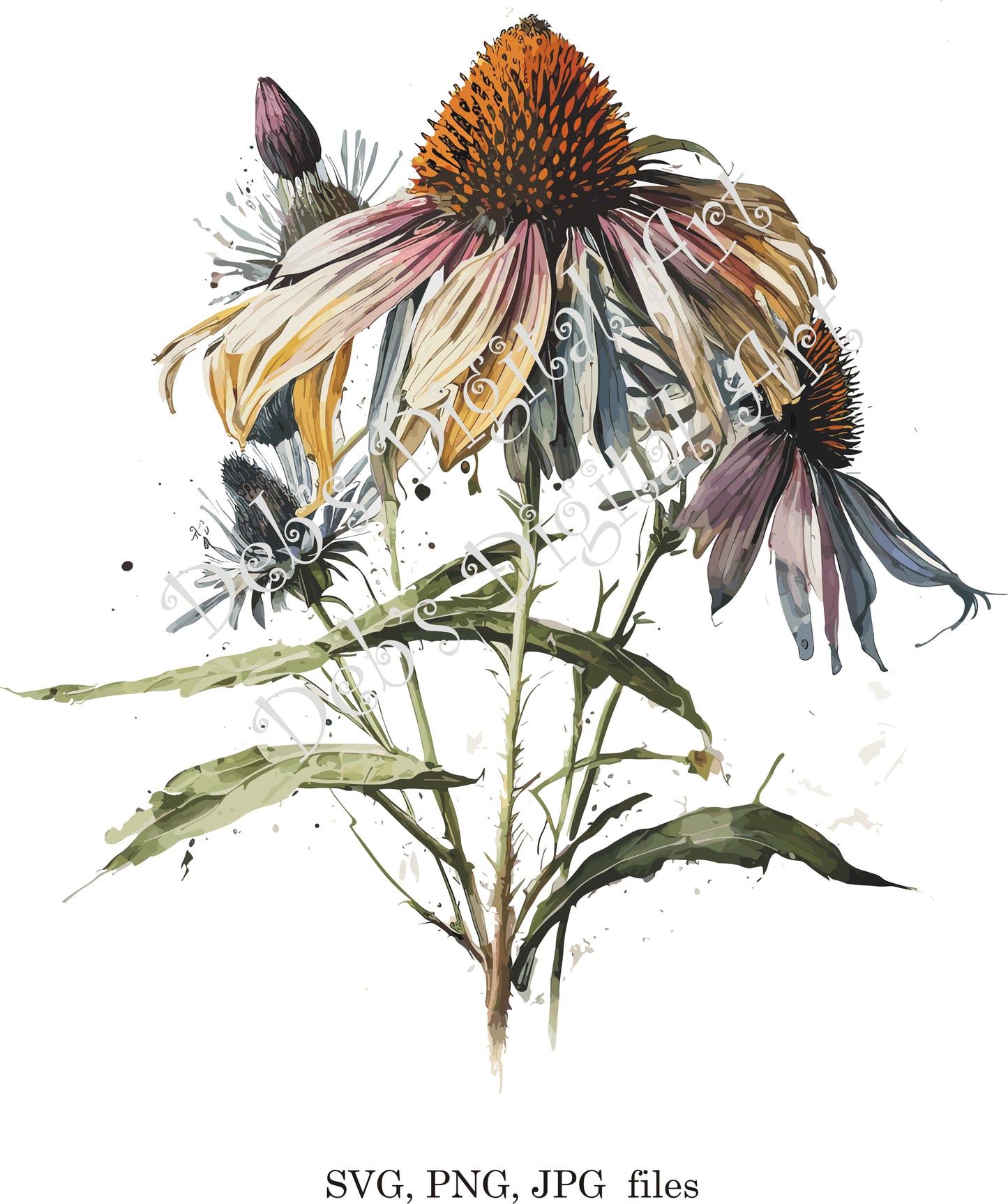 Watercolor botanical Coneflower grey Echinacea flowers digital clipart, vector, png. jpg, jpeg, svg wall art, graphic