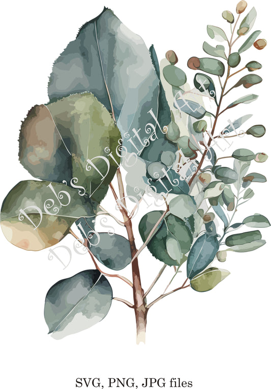 Watercolor botanical eucalyptus flower plant tree digital clipart, vector, png. jpg, jpeg, svg wall art, graphic