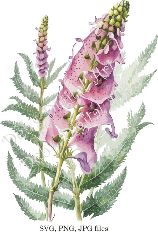 Watercolor botanical Foxglove pink purple flower plant digital clipart, vector, png. jpg, jpeg, svg wall art, graphic