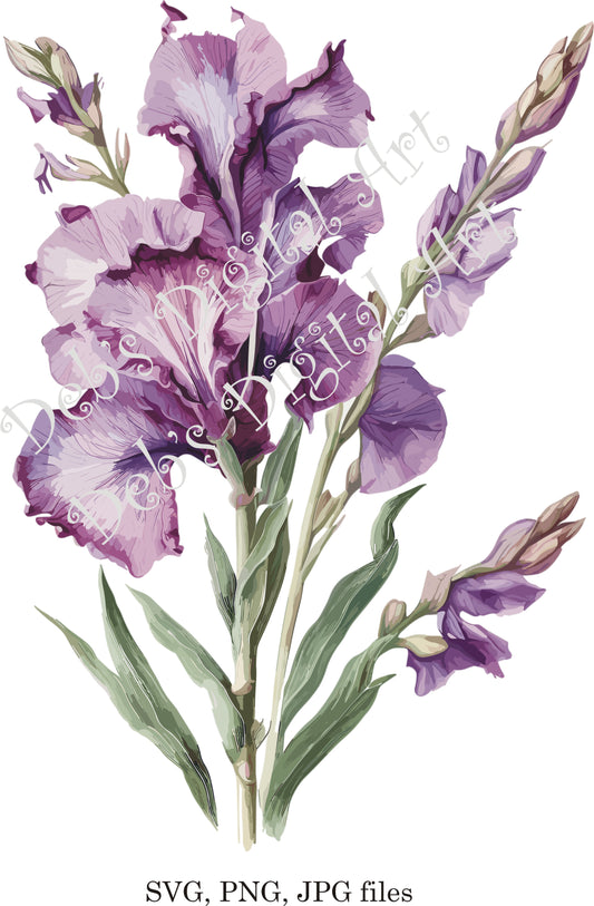 Watercolor botanical Gladiolus Purple Ruffled Glad flower plant digital clipart, vector, png. jpg, jpeg, svg wall art, graphic