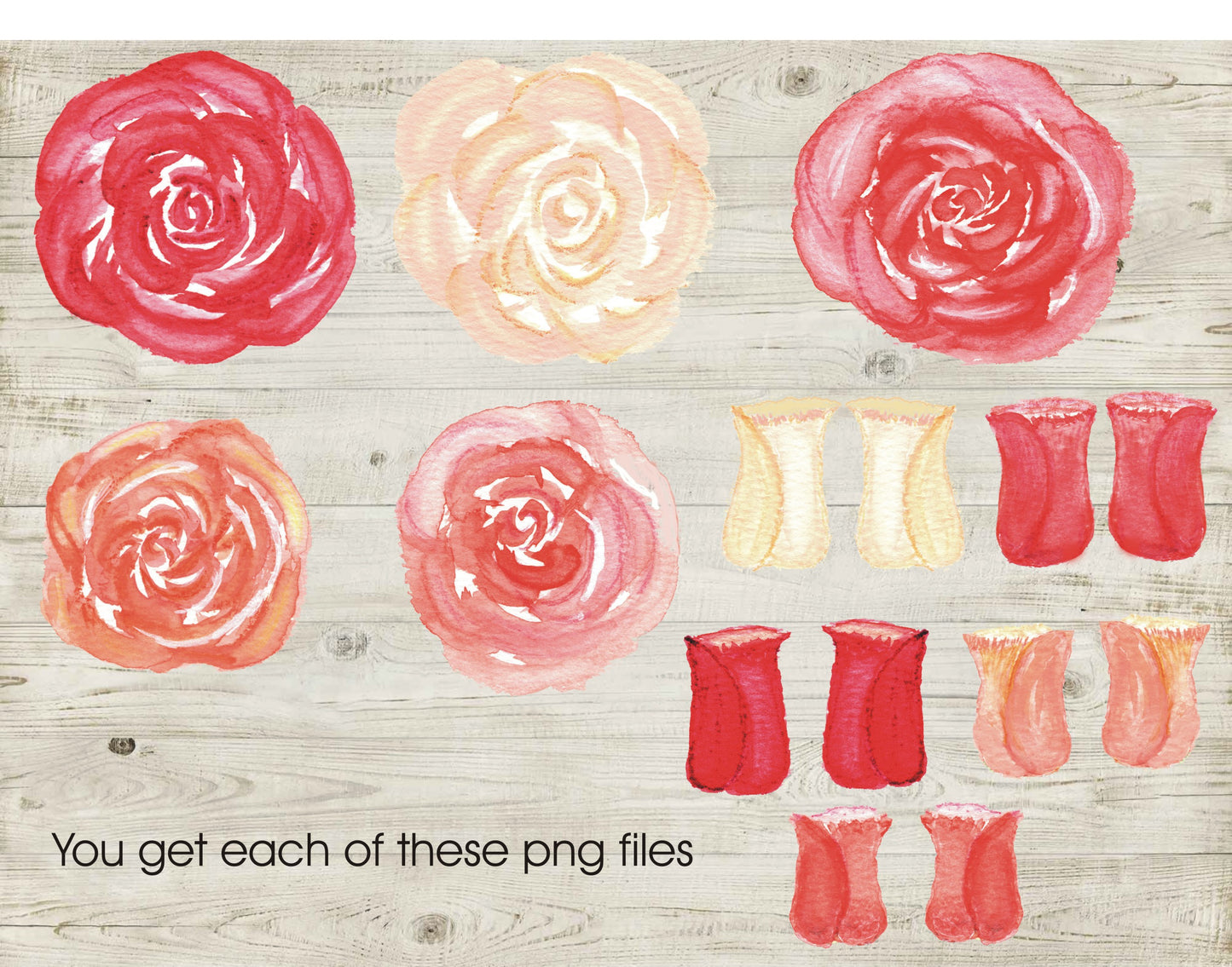 Watercolor, loose Roses botanical bundle, Digital download, Hand painted Artwork, Clipart 40 PNG files, Wedding, Invitations, Watercolour