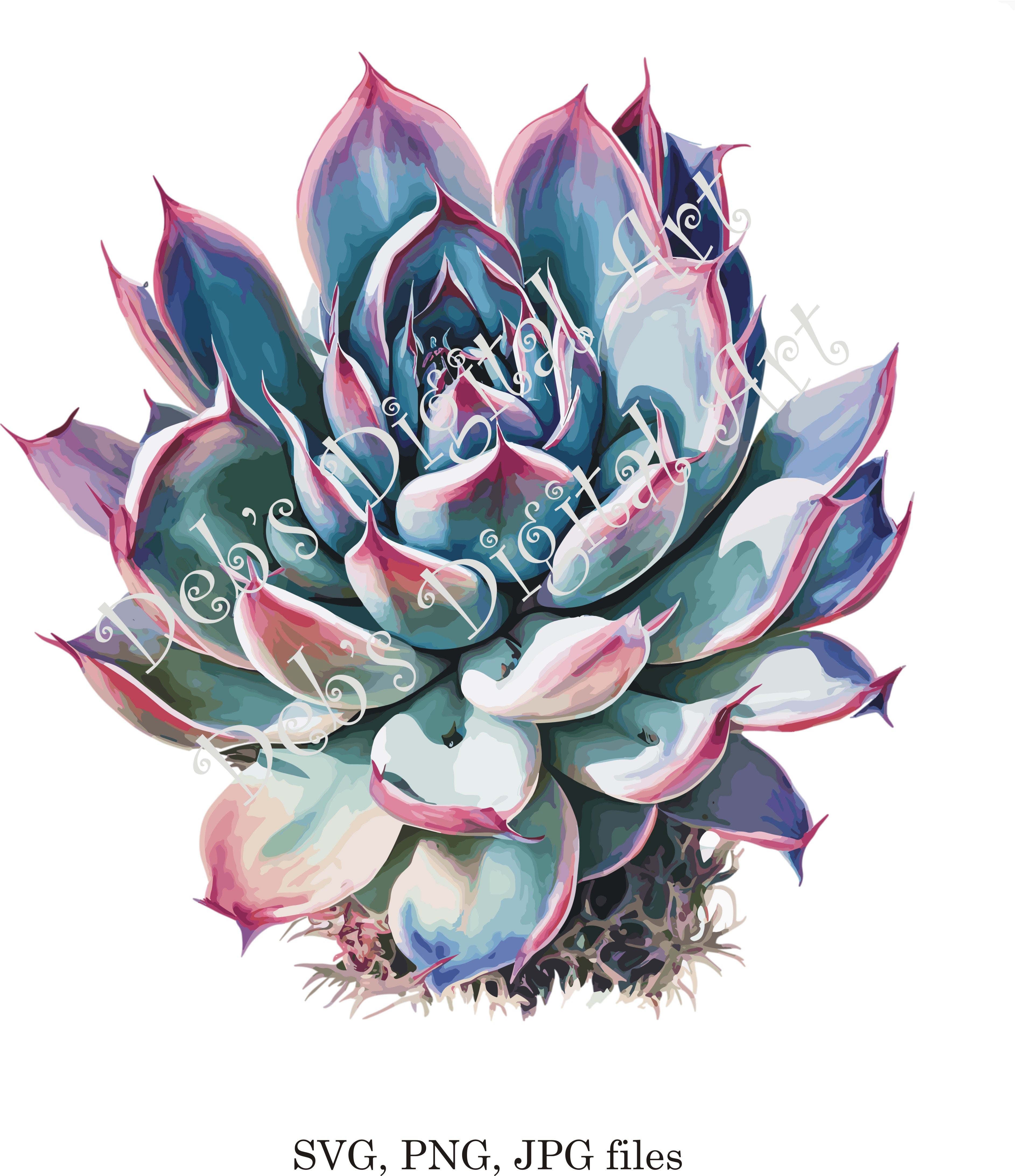 succulent watercolor png Watercolor botanical Succulent pink blue Echiveria flower plant digita – Ron's Rescued Treasures