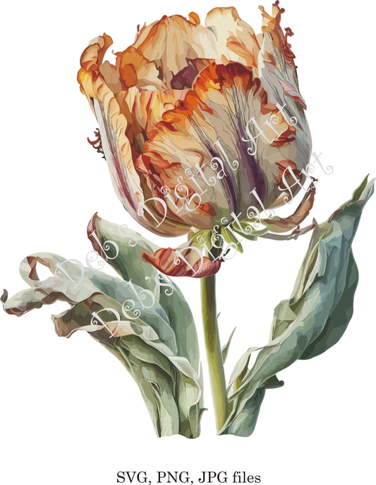 Watercolor botanical Tulip Ruffled yellow orange flower plant digital clipart, vector, png. jpg, jpeg, svg wall art, graphic