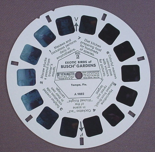 View-Master Exotic Birds Of Busch Gardens, Tampa Florida, A 9882, A9882, GAF Corp, Viewmaster