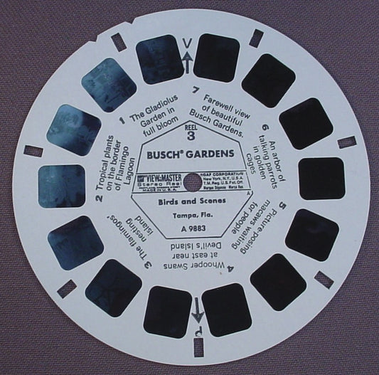View-Master Busch Gardens Birds And Scenes, Tampa Florida, A 9883, A9883, Reel 3, GAF Corp, Viewmaster