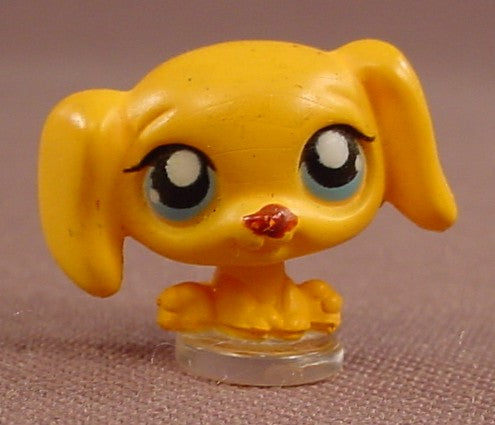 Littlest Pet Shop Teeniest Tiniest Teensies Yellow Brown Cocker Spaniel Puppy Dog With Blue Eyes, LPS