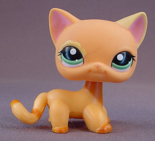 Littlest Pet Shop #1643 Blemished Orange Brown Short Hair Kitty Cat Kitten With Blue Green Eyes, Orange Brown Chest, Stripes On The Tail
