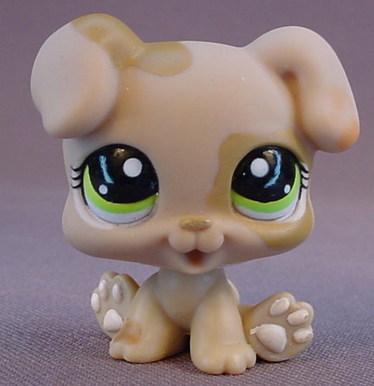 Littlest Pet Shop #1353 Blemished Light Brown Or Tan Baby Boxer Puppy Dog With Green Eyes, Pets On The Go, Doggie Spa