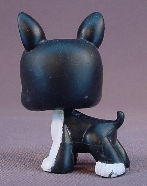 Littlest Pet Shop #63 Blemished Black & White Boston Terrier Puppy Dog With Orange Brown Eyes, Portable Pets, LPS, 2004 Hasbro