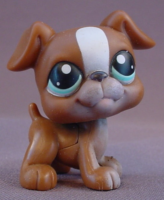Littlest Pet Shop Blemished Brown & White Boxer Puppy Dog With Blue Green Eyes With Diamond Shapes, This Was Only Available With A Puzzle Set