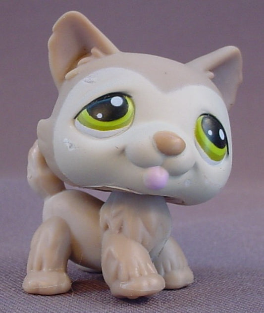 Littlest Pet Shop #358 Blemished Brown & Tan Husky Puppy Dog With Green Eyes, Round N Round Pet Town 1, LPS, 2006 Hasbro
