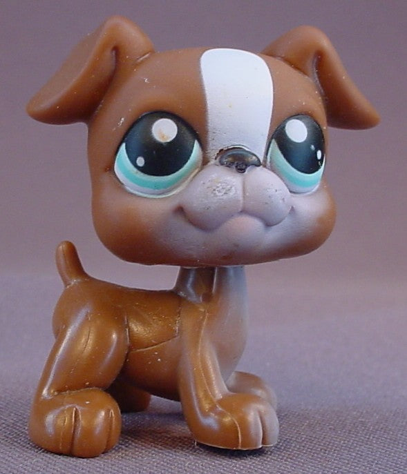 Littlest Pet Shop Blemished Brown & White Boxer Puppy Dog With Blue Green Eyes With Diamond Shapes, This Was Only Available With A Puzzle Set