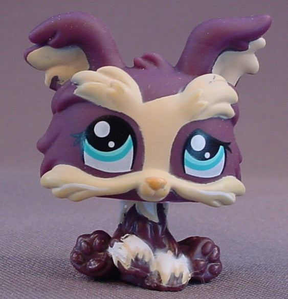 Littlest Pet Shop #1473 Blemished Dark Purple & Cream Yorkie Puppy Dog With Blue Eyes, Yorkshire Terrier, LPS, 2007 Hasbro