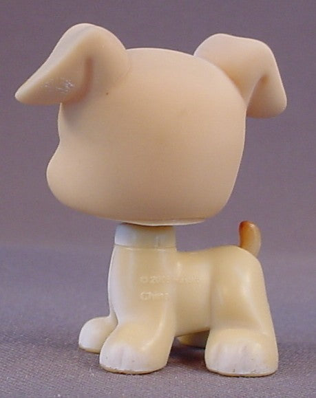 Littlest Pet Shop #235 Blemished Tan Boxer Puppy Dog With Green Eyes, Secret Surprise Obstacle, LPS, 2005 Hasbro