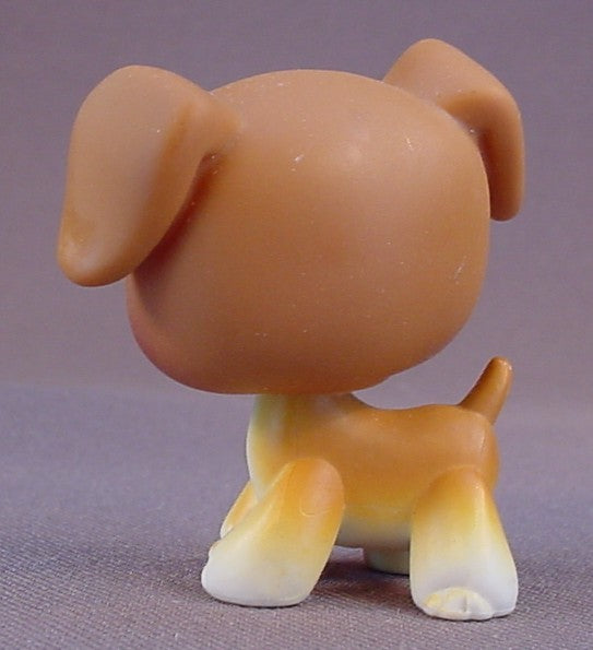 Littlest Pet Shop #25 Blemished Brown & White Boxer Puppy Dog With Brown Eyes, Singles, LPS, 2004 Hasbro