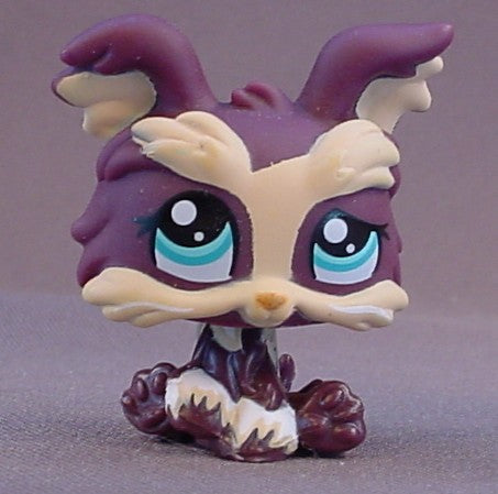 Littlest Pet Shop #1473 Blemished Dark Purple & Cream Yorkie Puppy Dog With Blue Eyes, Yorkshire Terrier, LPS, 2007 Hasbro