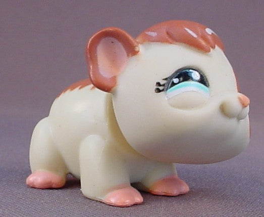Littlest Pet Shop #683 Blemished Cream & Brown Guinea Pig With Brown Eye Patch, Pink Feet & Blue Eyes, Tail Waggin Fitness Club