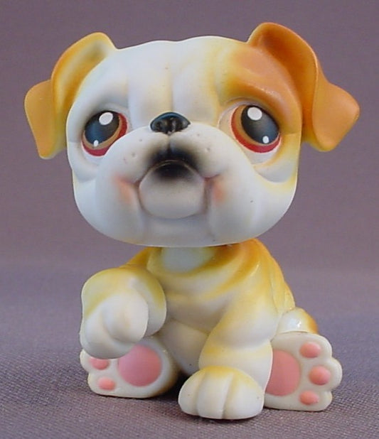Littlest Pet Shop #46 Blemished Orange Brown & White English British Bulldog Puppy Dog With Red Brown Eyes, Singles, Pet Pairs