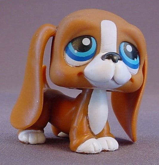 Littlest Pet Shop #222 Blemished Bassett Hound Puppy Dog With Dark Blue Eyes, White Muzzle Chest & Feet, In The Picture Pets