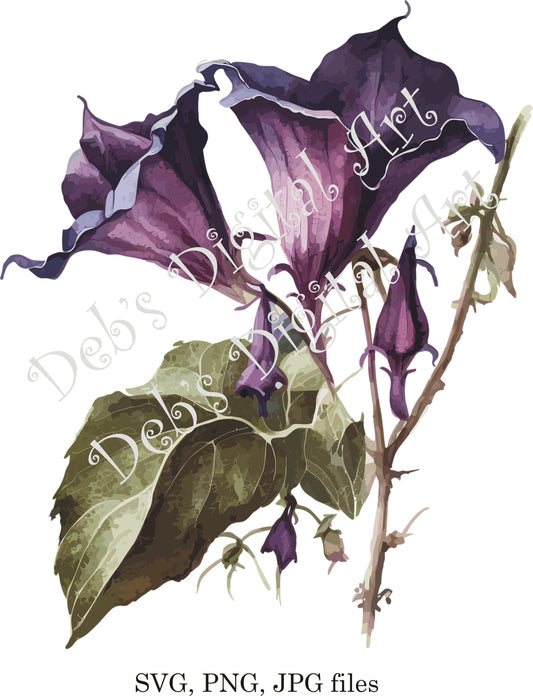 Watercolor botanical Bat Flower purple plant digital clipart, vector, png. jpg, jpeg, svg wall art, graphic