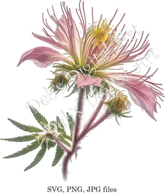 Watercolor botanical Bonsai Prairie Smoke dusty pink plant digital clipart, vector, png. jpg, jpeg, svg wall art, graphic