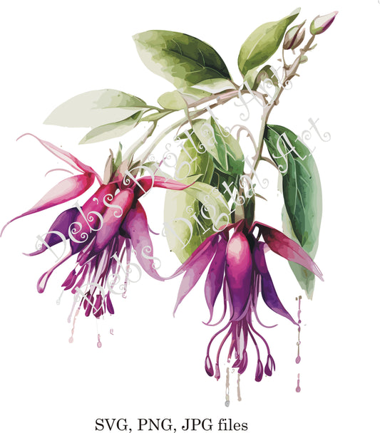 Watercolor botanical Fuchsia purple plant flower digital clipart, vector, png. jpg, jpeg, svg wall art, graphic