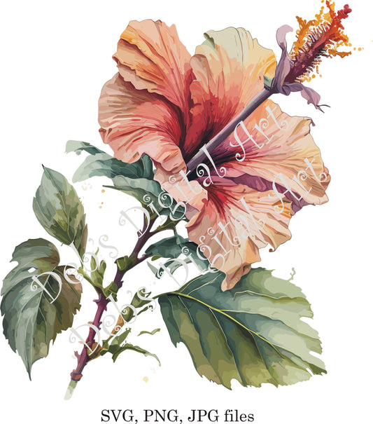 Watercolor botanical Hibiscus Pink flower plant digital clipart, vector, png. jpg, jpeg, svg wall art, graphic
