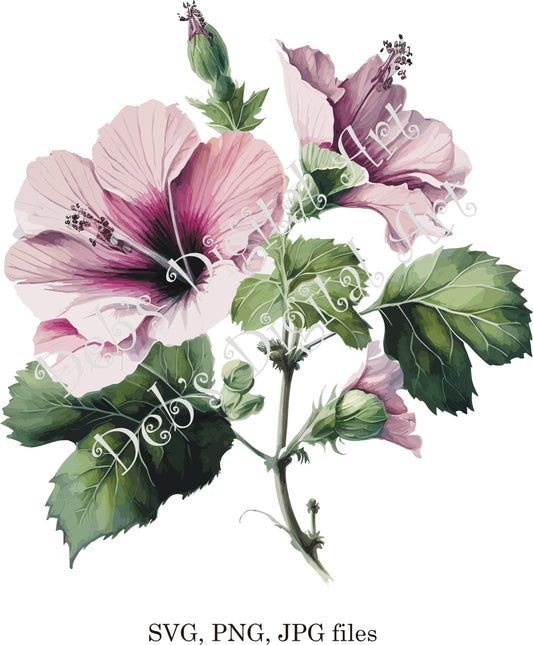 Watercolor botanical Lavatera Pink flower plant digital clipart, vector, png. jpg, jpeg, svg wall art, graphic