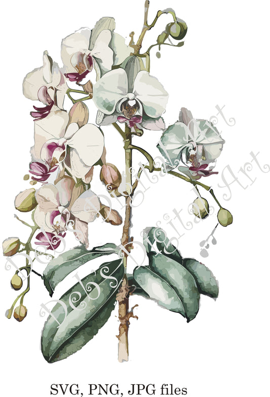 Watercolor botanical Orchid Purple Grey flower plant digital clipart, vector, png. jpg, jpeg, svg wall art, graphic