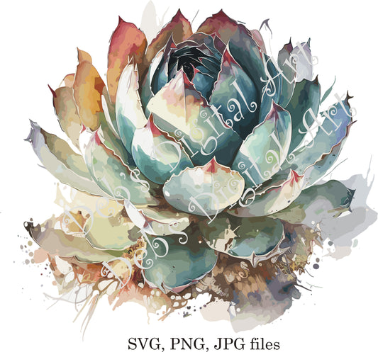 Watercolor botanical Peyote Succulent burgundy green flower plant digital clipart, vector, png. jpg, jpeg, svg wall art, graphic