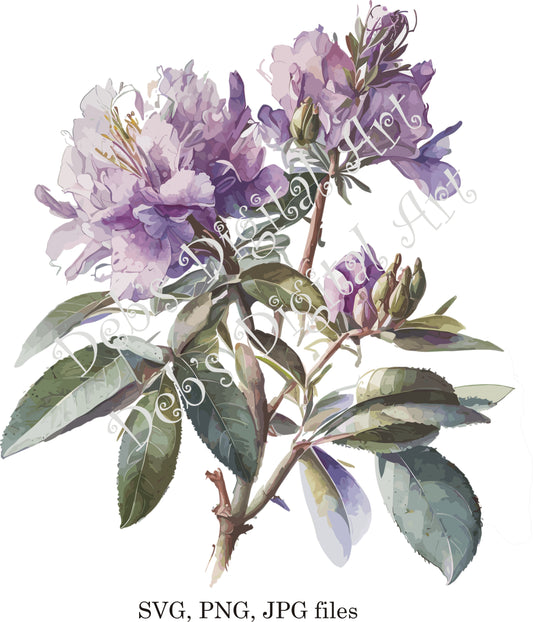 Watercolor botanical Rhododendron Azaleas purple plant flower digital clipart, vector, png. jpg, jpeg, svg wall art, graphic