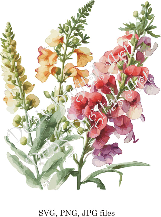 Watercolor botanical Snap Dragons Red Yellow plant flower digital clipart, vector, png. jpg, jpeg, svg wall art, graphic