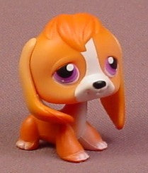 Littlest Pet Shop #301 Orange Beagle Puppy Dog with Purple Eyes