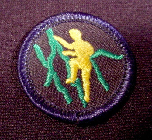 Patch Badge Boy Scouts Climbing, 1 1/2" Across, Scouting, Cubs, Bea