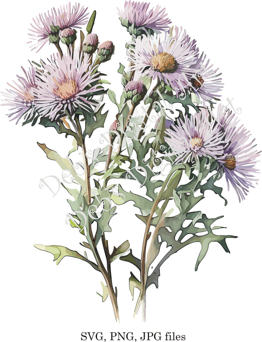 Watercolor botanical Aster Powderpuff flower plant purple digital clipart, vector, png. jpg, jpeg, svg wall art, graphic