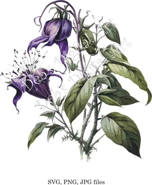 Watercolor botanical Bat Flower Orchid plant purple digital clipart, vector, png. jpg, jpeg, svg wall art, graphic