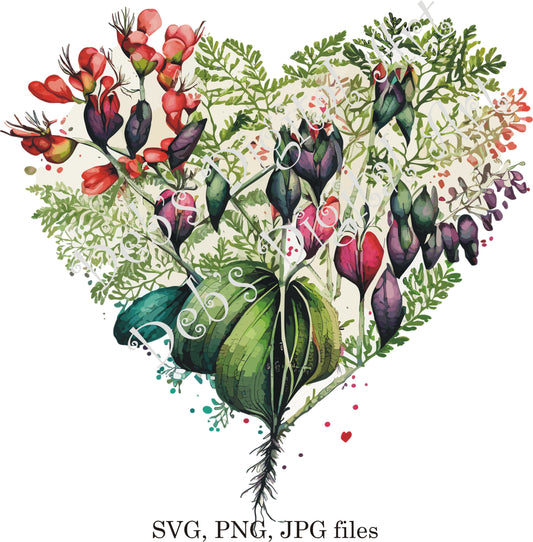 Watercolor botanical Bleeding Heart love lies bleeding flower plant digital clipart, vector, png. jpg, jpeg, svg wall art, graphic