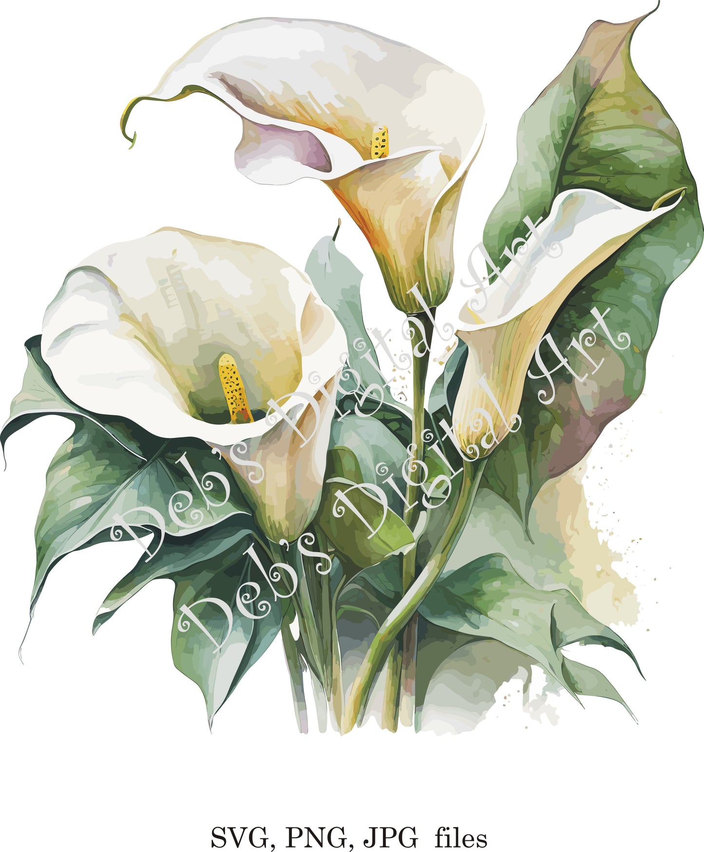 Watercolor botanical Calla Lilies White flowers digital clipart, vector, png. jpg, jpeg, svg wall art, graphic