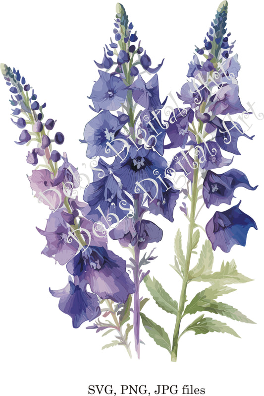 Watercolor botanical Delphinium Larkspur purple flower plant digital clipart, vector, png. jpg, jpeg, svg wall art, graphic